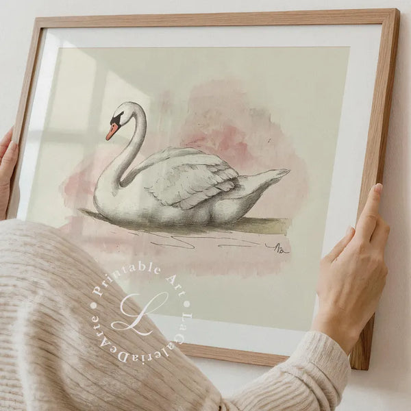 Quadro Decorativo: Cisne Branco