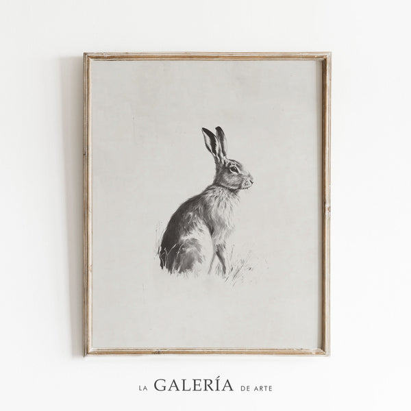 Quadro Infantil: Arte Esboço de Coelho Minimalista