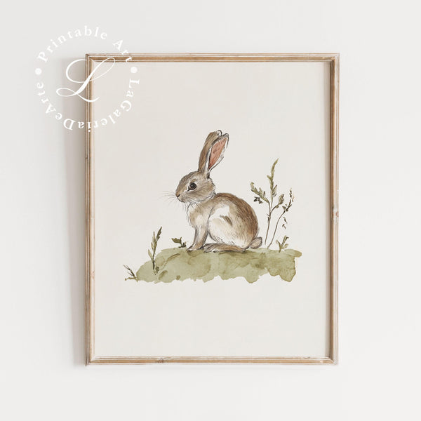 Quadro Infantil: Arte Coelho em Fazenda